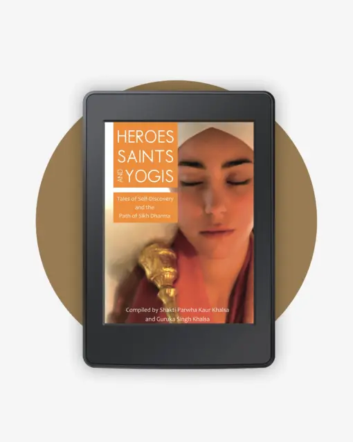 Heroes, Saints and Yogis book cover
