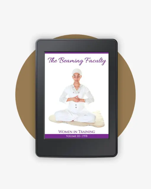 WIT 3 - The Beaming Faculty book cover