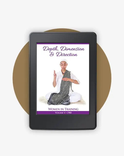WIT 05 - Depth, Dimension, & Direction book cover