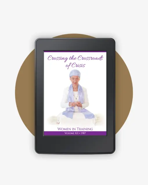 WIT 12 - Crossing the Crosswalks of Crisis book cover