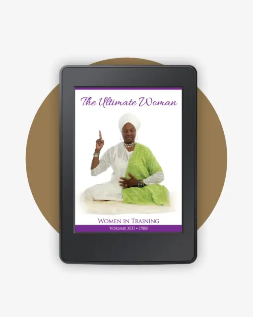 WIT 13 - The Ultimate Woman book cover