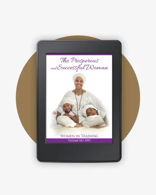 WIT 20 - The Prosperous and Successful Woman book cover