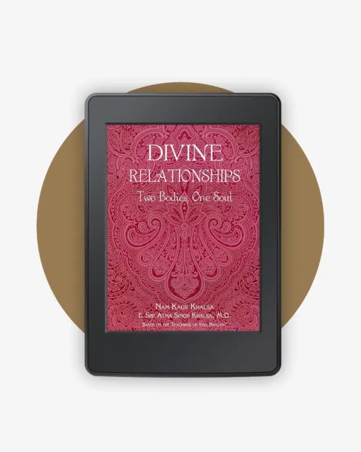 Divine Relationships book cover