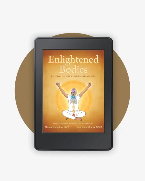 Enlightened Bodies book cover
