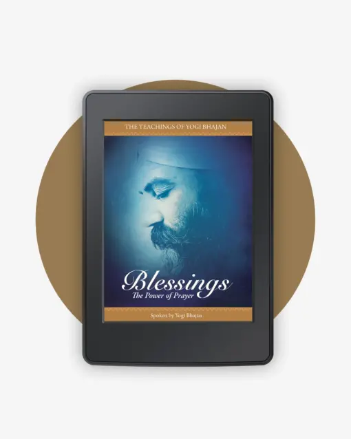 Blessings book cover